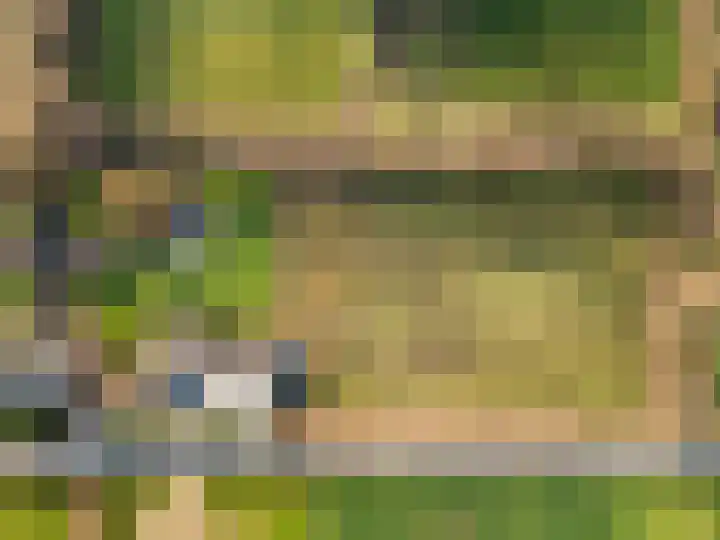 Damweg 73 Zwartebroek thumbnail 83