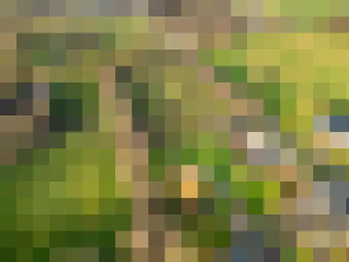 Damweg 73 Zwartebroek thumbnail 84