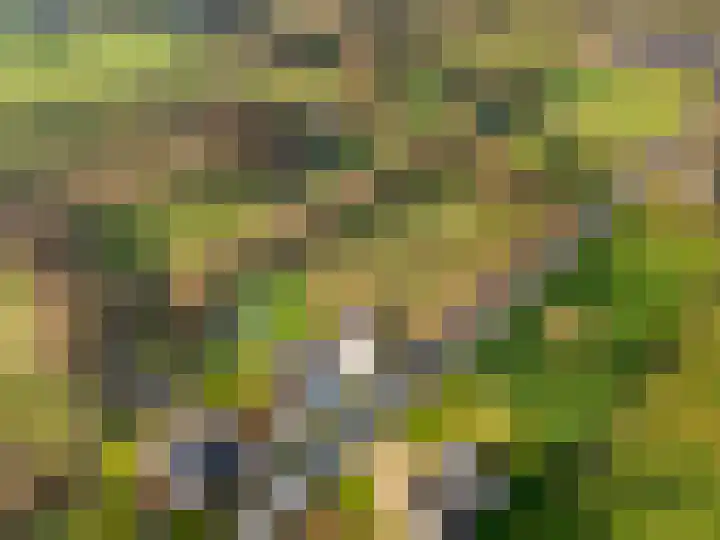 Damweg 73 Zwartebroek thumbnail 85