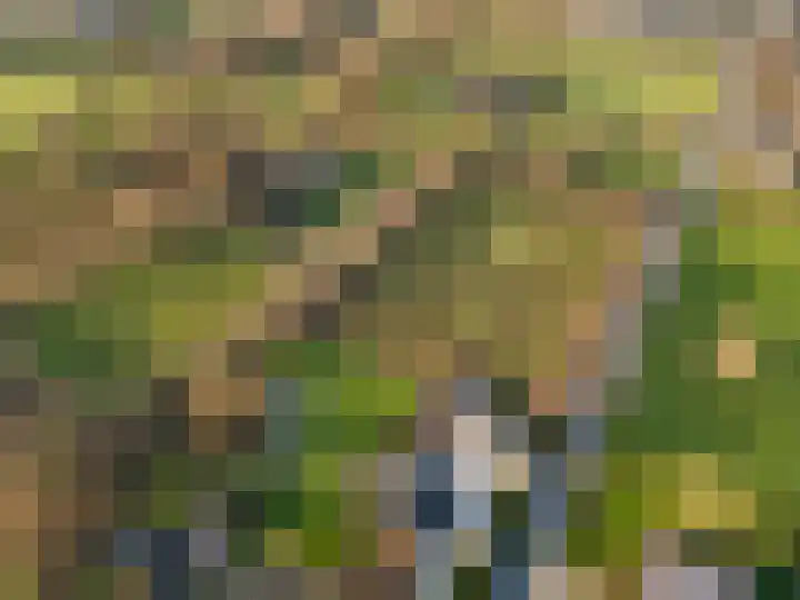 Damweg 73 Zwartebroek thumbnail 86