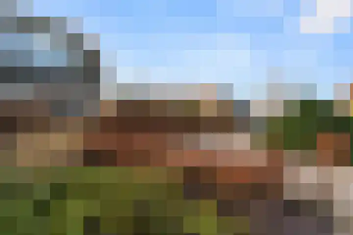 Damweg 73 Zwartebroek thumbnail 9