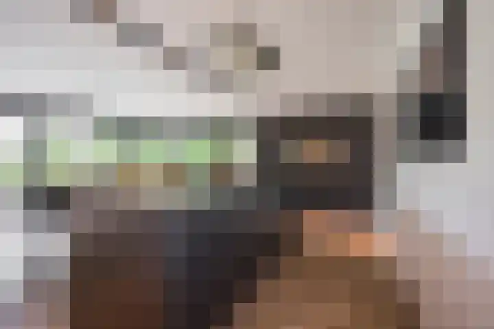 Damweg 8 Zwartebroek thumbnail 10