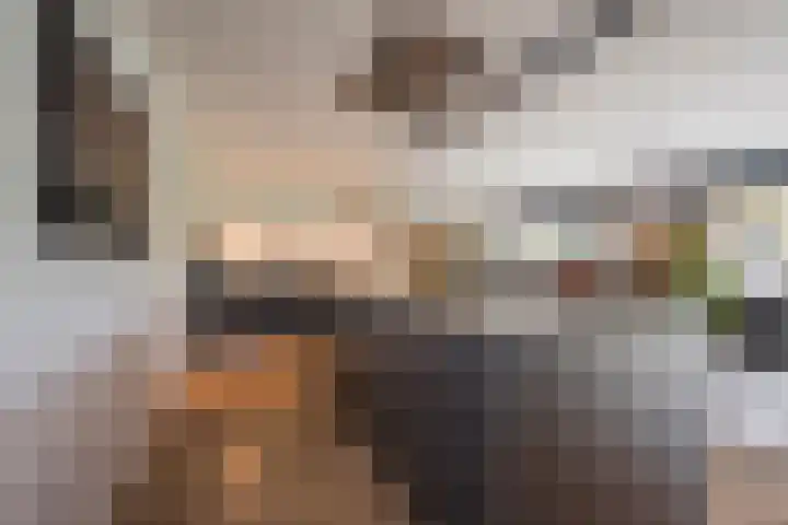 Damweg 8 Zwartebroek thumbnail 11