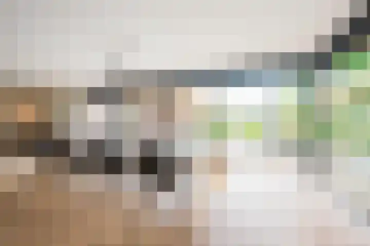 Damweg 8 Zwartebroek thumbnail 12