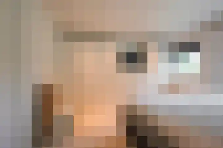 Damweg 8 Zwartebroek thumbnail 18