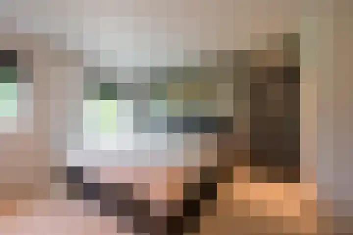 Damweg 8 Zwartebroek thumbnail 19