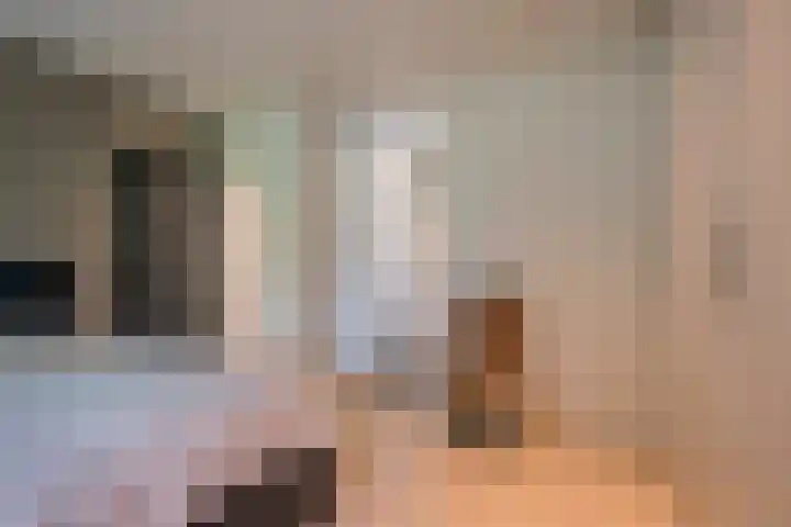 Damweg 8 Zwartebroek thumbnail 20