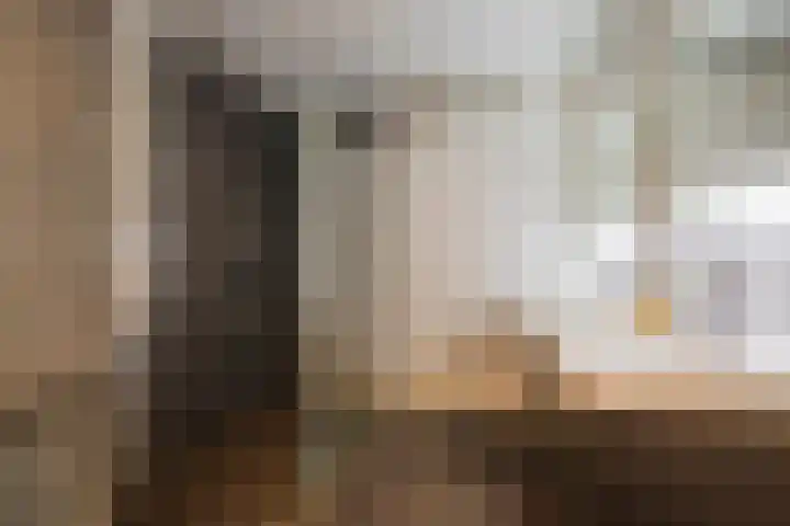 Damweg 8 Zwartebroek thumbnail 21