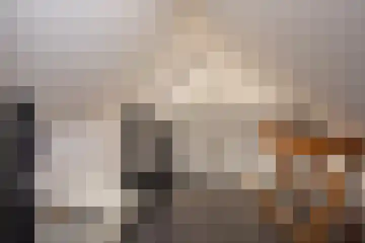 Damweg 8 Zwartebroek thumbnail 23