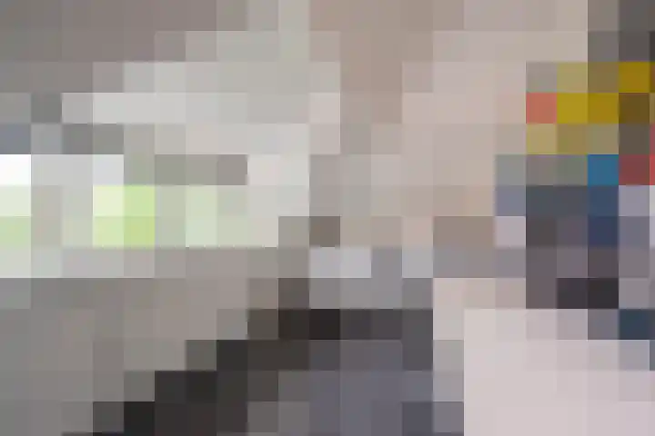Damweg 8 Zwartebroek thumbnail 27
