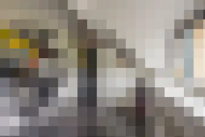Damweg 8 Zwartebroek thumbnail 28