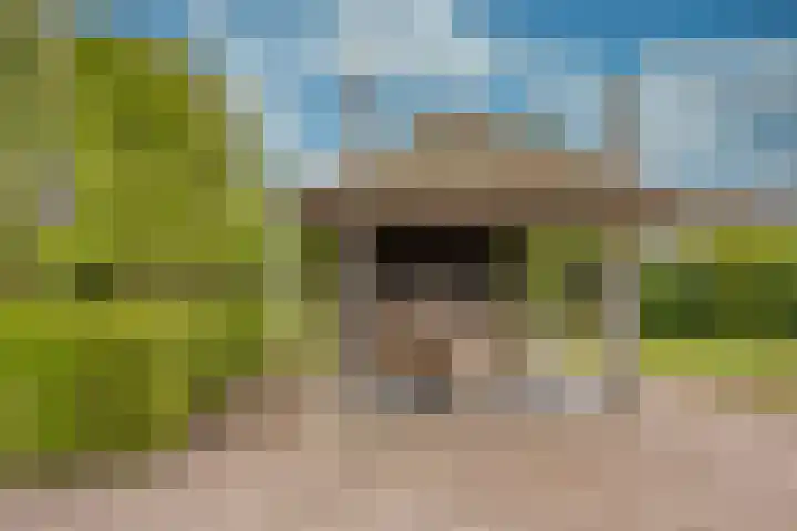 Damweg 8 Zwartebroek thumbnail 34
