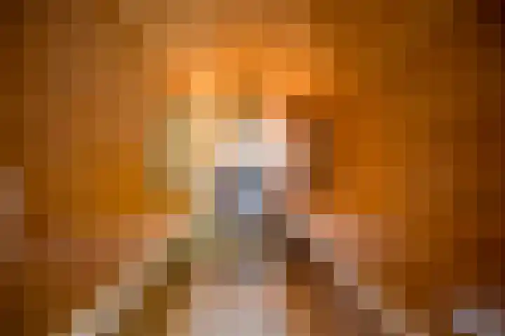 Damweg 8 Zwartebroek thumbnail 35