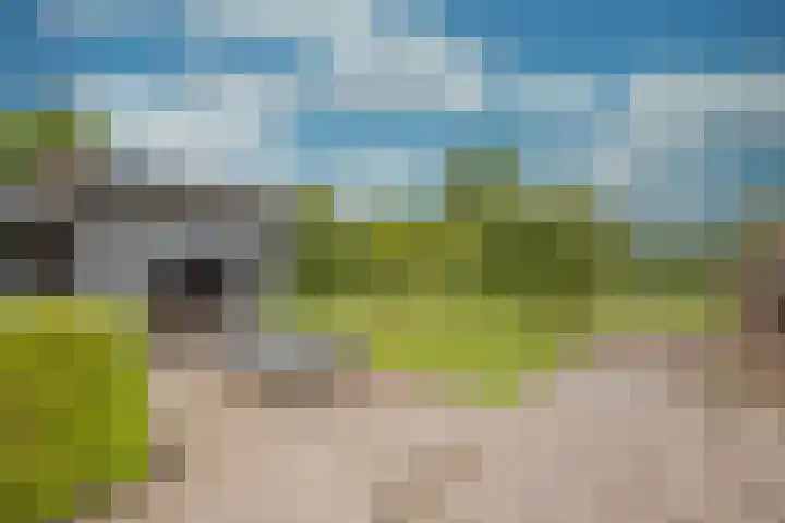 Damweg 8 Zwartebroek thumbnail 37
