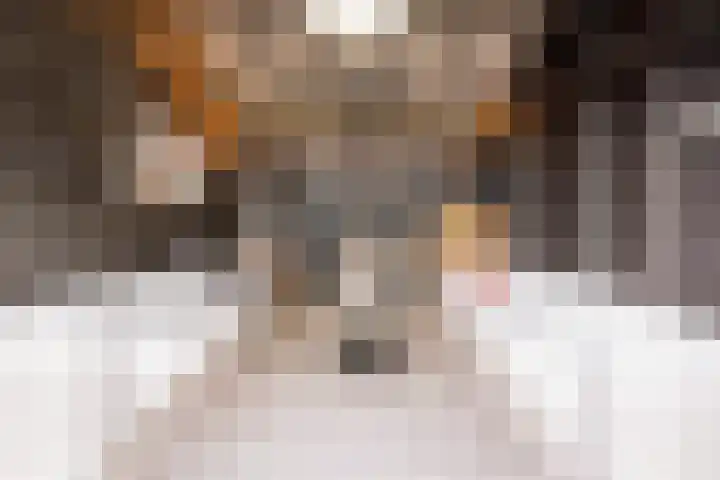 Damweg 8 Zwartebroek thumbnail 38