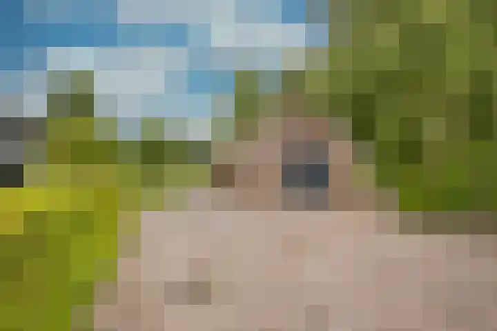 Damweg 8 Zwartebroek thumbnail 40