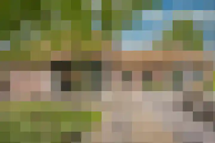 Damweg 8 Zwartebroek thumbnail 41