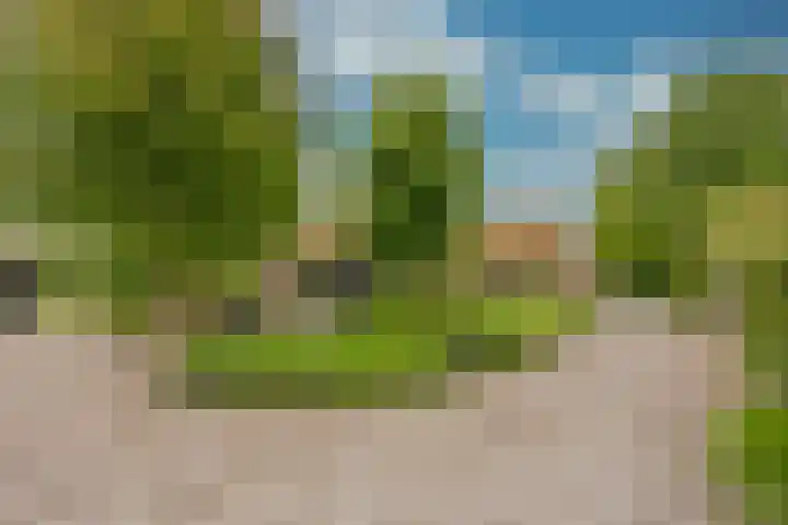 Damweg 8 Zwartebroek thumbnail 42