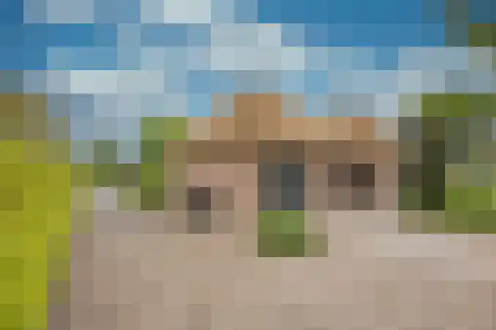 Damweg 8 Zwartebroek thumbnail 43