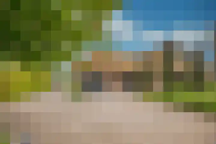 Damweg 8 Zwartebroek thumbnail 44