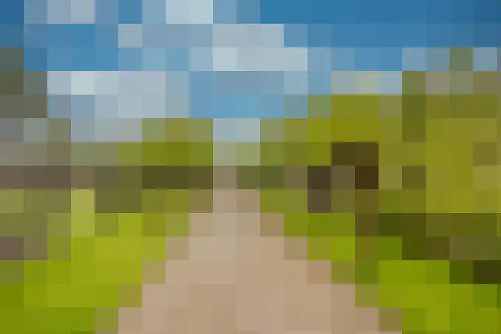 Damweg 8 Zwartebroek thumbnail 45