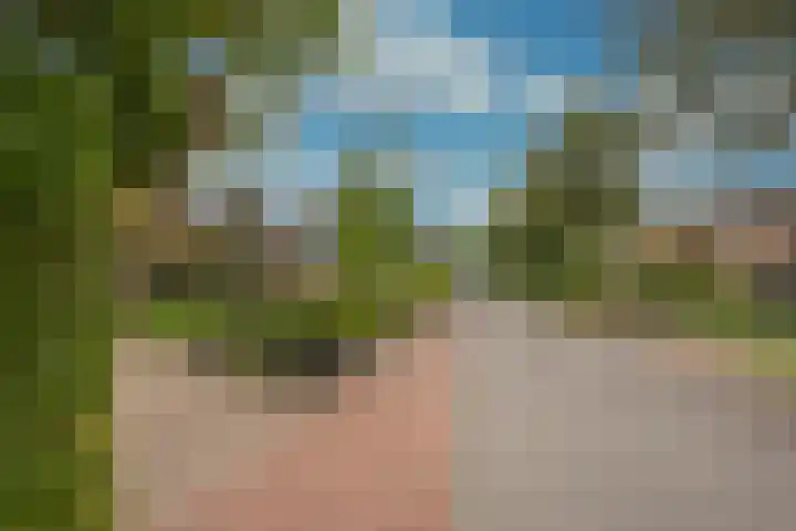 Damweg 8 Zwartebroek thumbnail 47