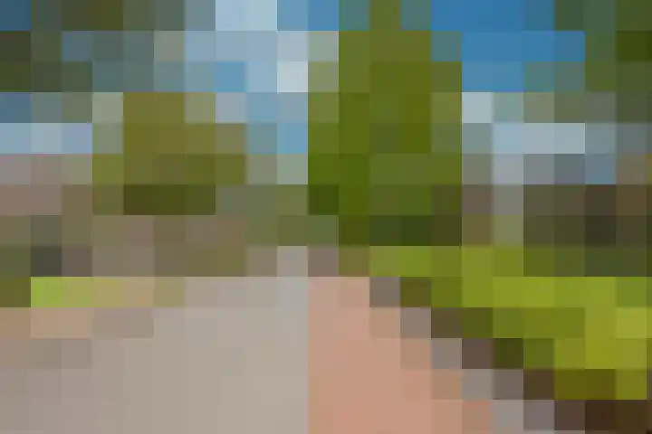 Damweg 8 Zwartebroek thumbnail 48