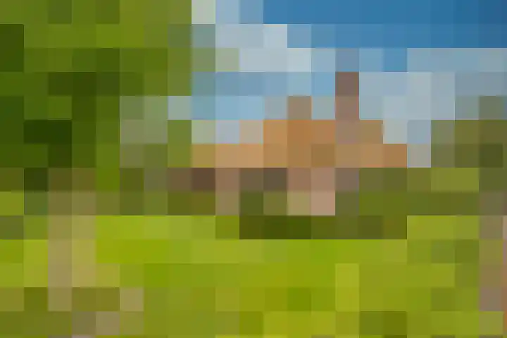 Damweg 8 Zwartebroek thumbnail 49