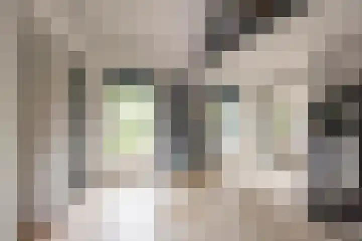 Damweg 8 Zwartebroek thumbnail 5