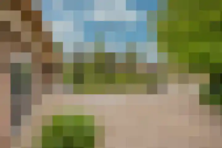 Damweg 8 Zwartebroek thumbnail 50
