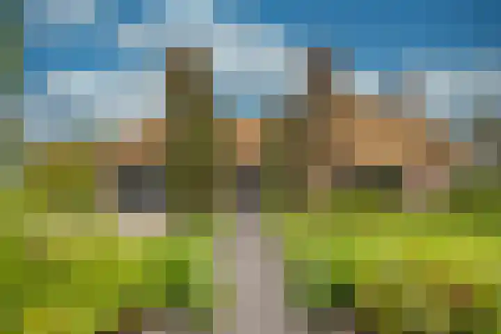 Damweg 8 Zwartebroek thumbnail 56