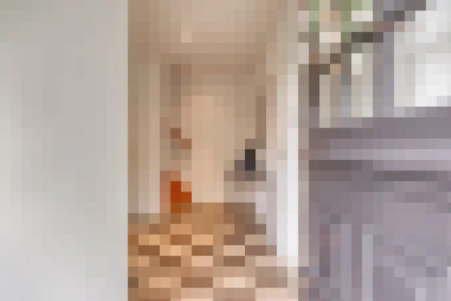 Damweg 98 Zwartebroek thumbnail 11