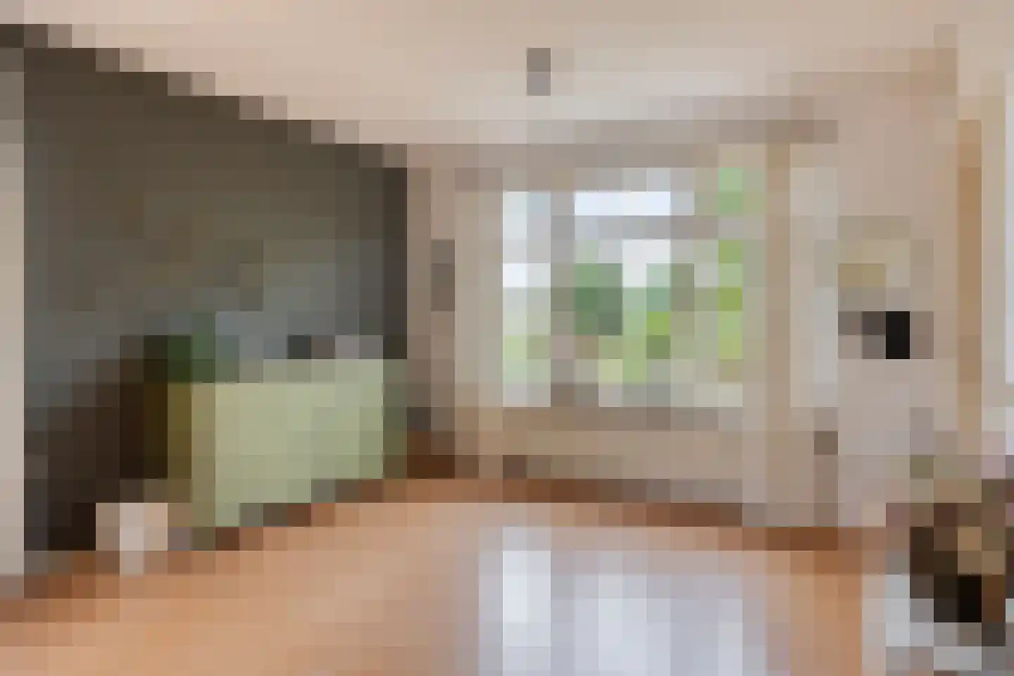 Damweg 98 Zwartebroek thumbnail 18