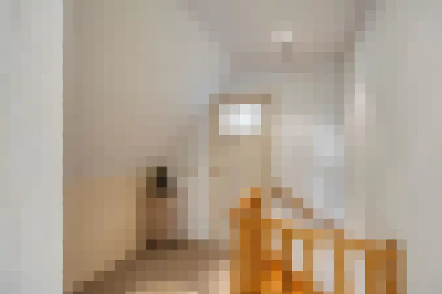 Damweg 98 Zwartebroek thumbnail 25