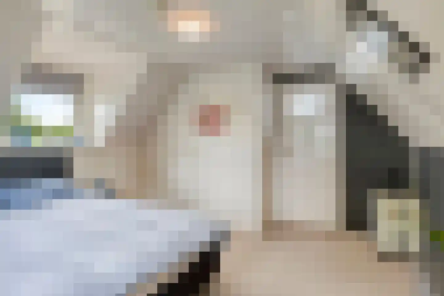 Damweg 98 Zwartebroek thumbnail 37