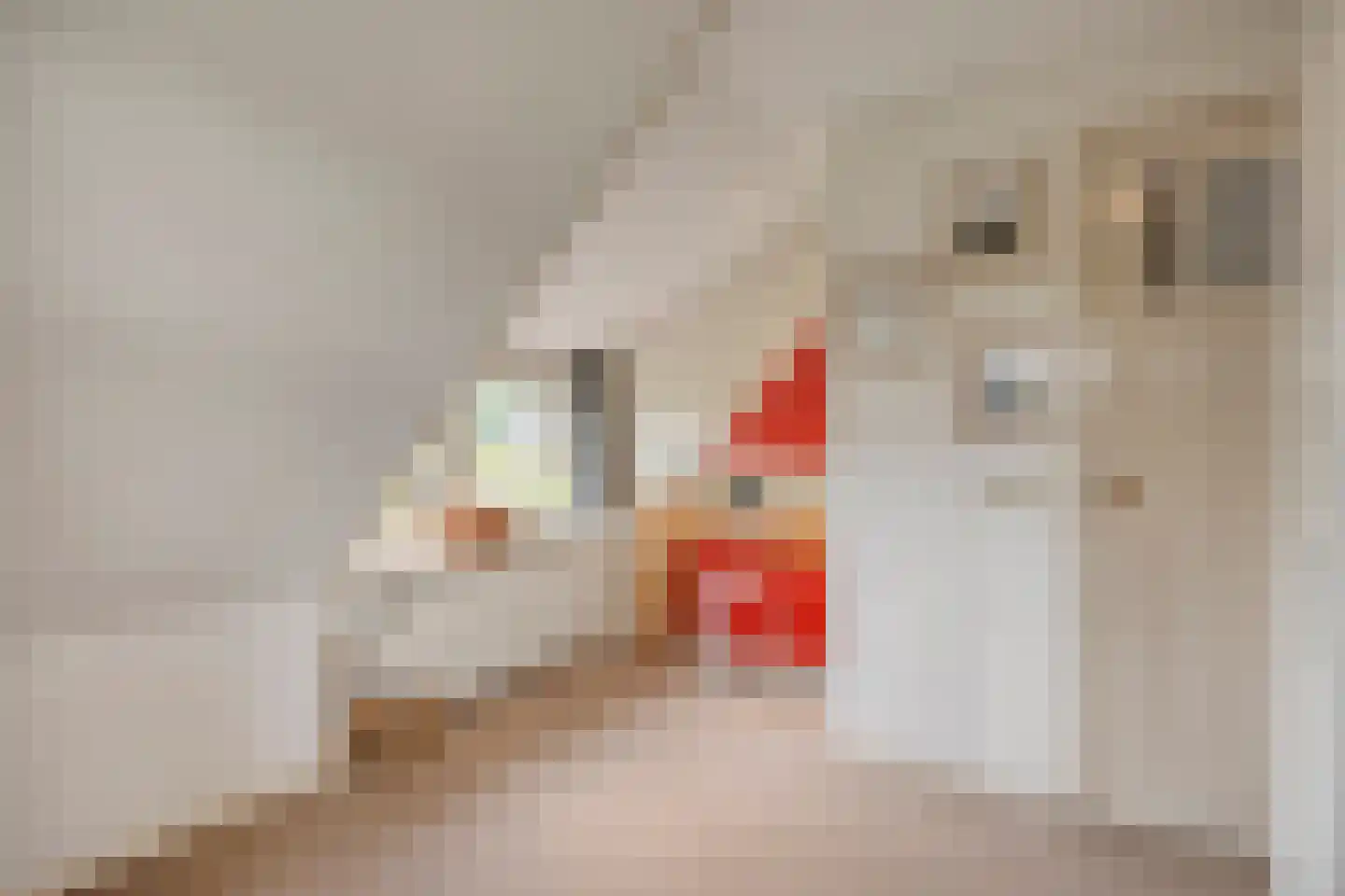 Damweg 98 Zwartebroek thumbnail 39