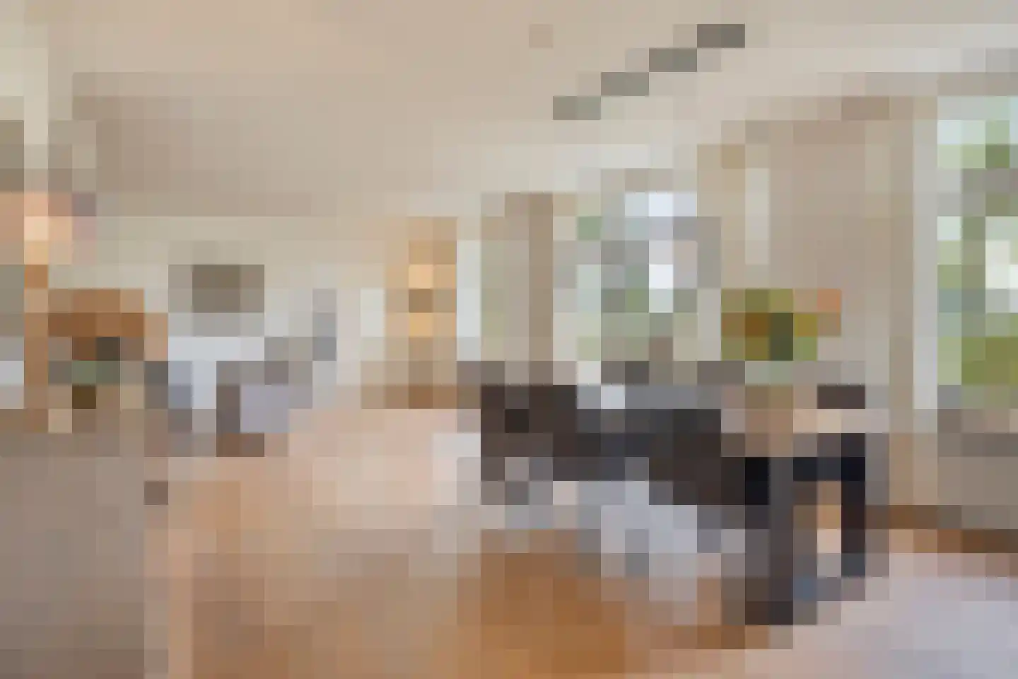 Damweg 98 Zwartebroek thumbnail 4