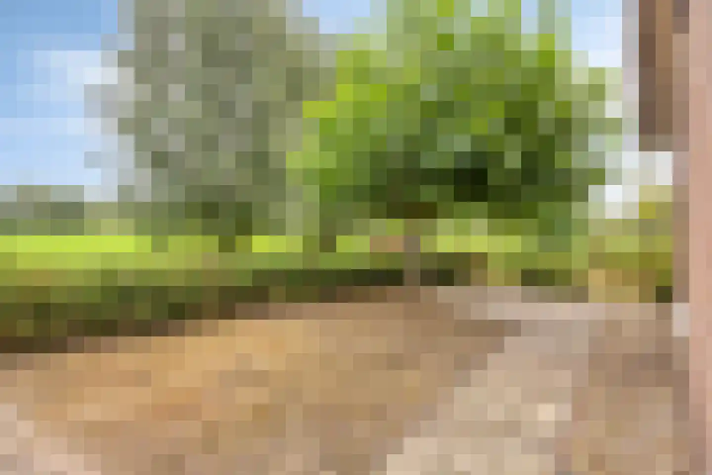 Damweg 98 Zwartebroek thumbnail 41