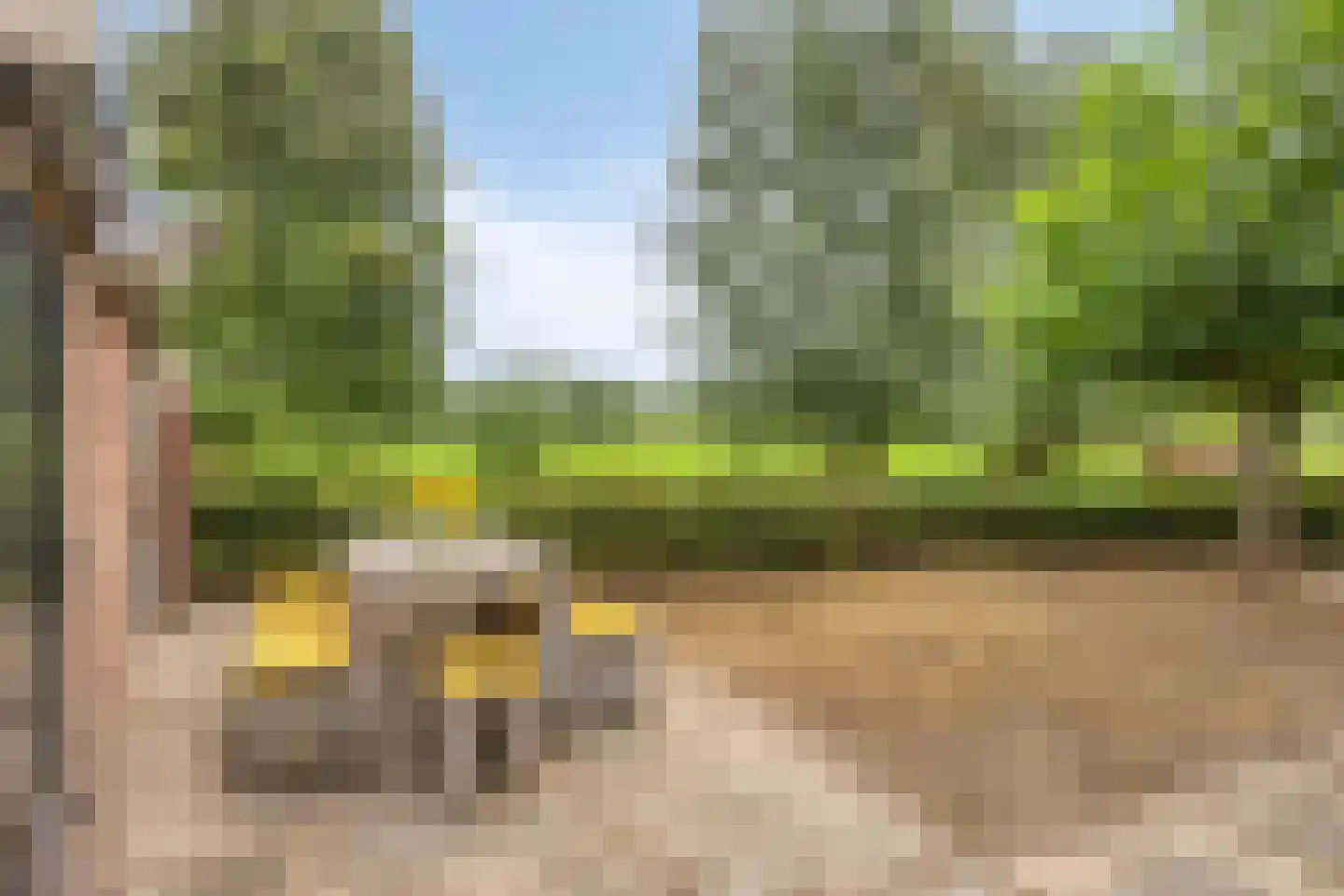 Damweg 98 Zwartebroek thumbnail 42