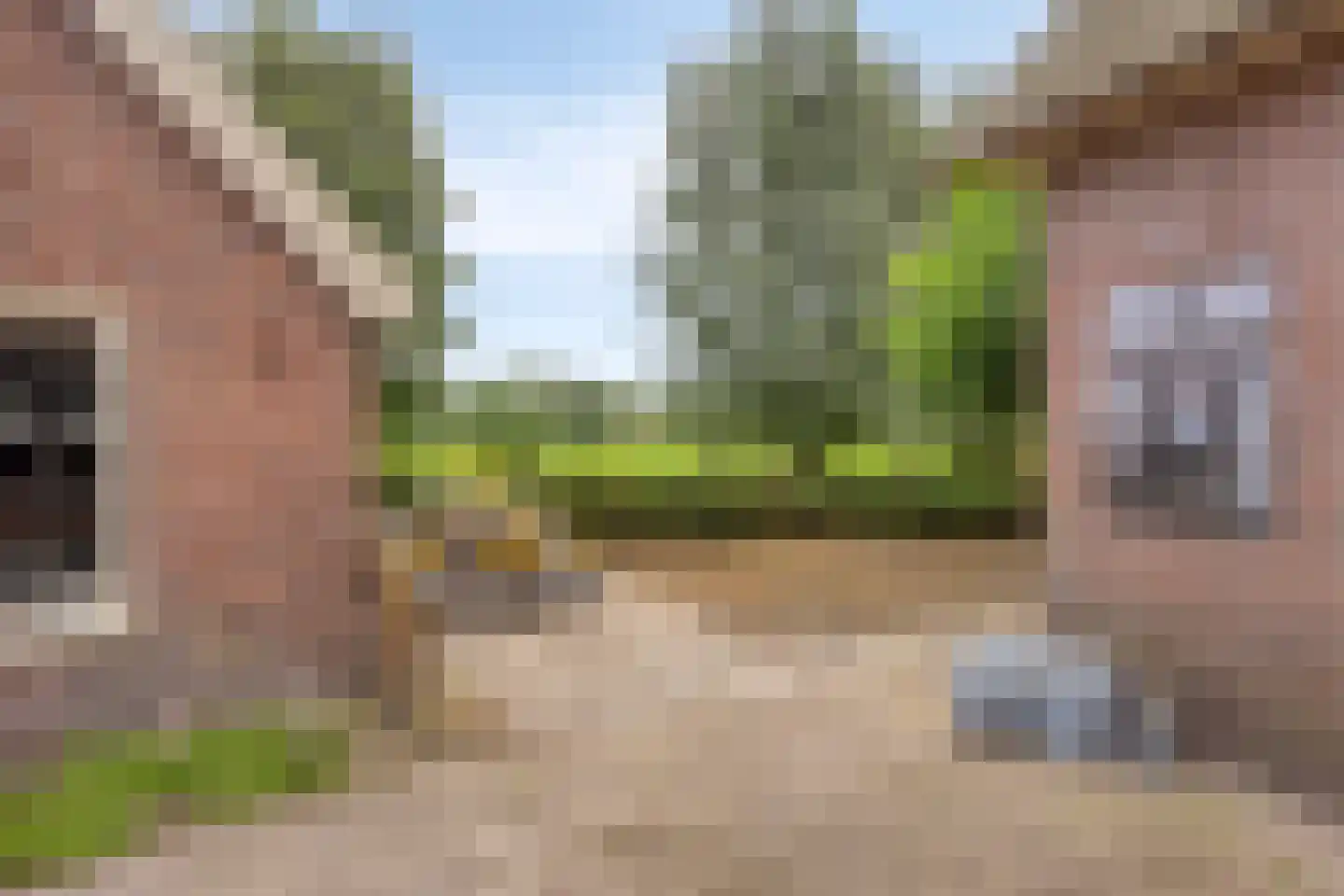 Damweg 98 Zwartebroek thumbnail 43
