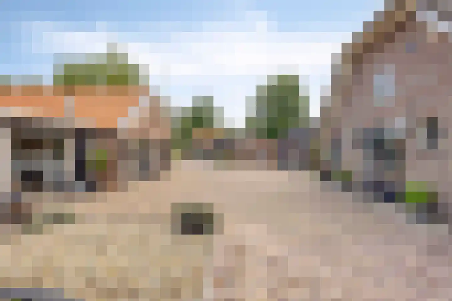 Damweg 98 Zwartebroek thumbnail 50