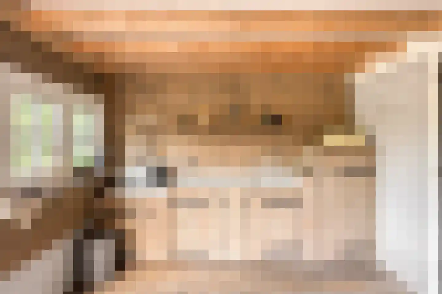 Damweg 98 Zwartebroek thumbnail 55