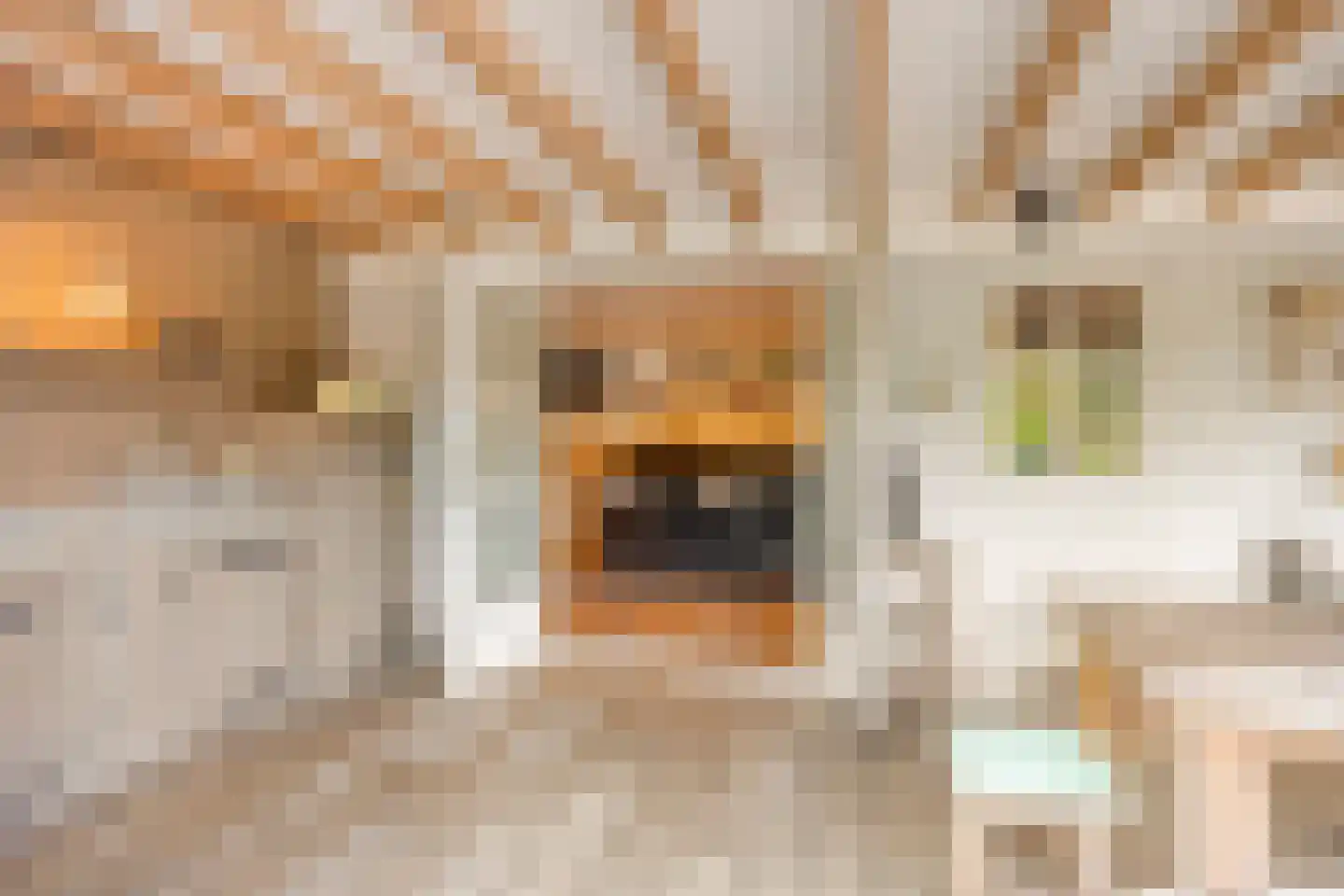 Damweg 98 Zwartebroek thumbnail 57