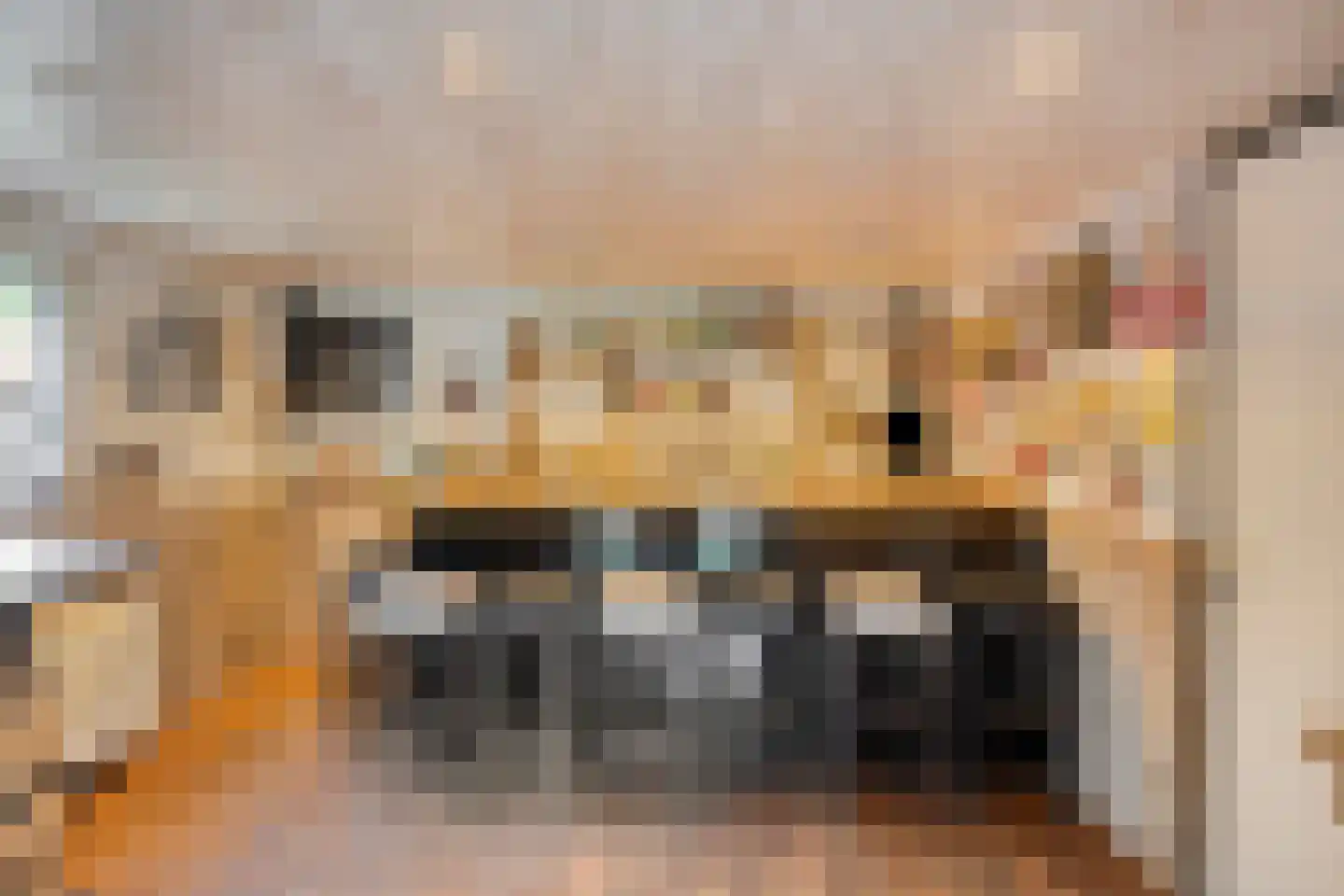 Damweg 98 Zwartebroek thumbnail 58