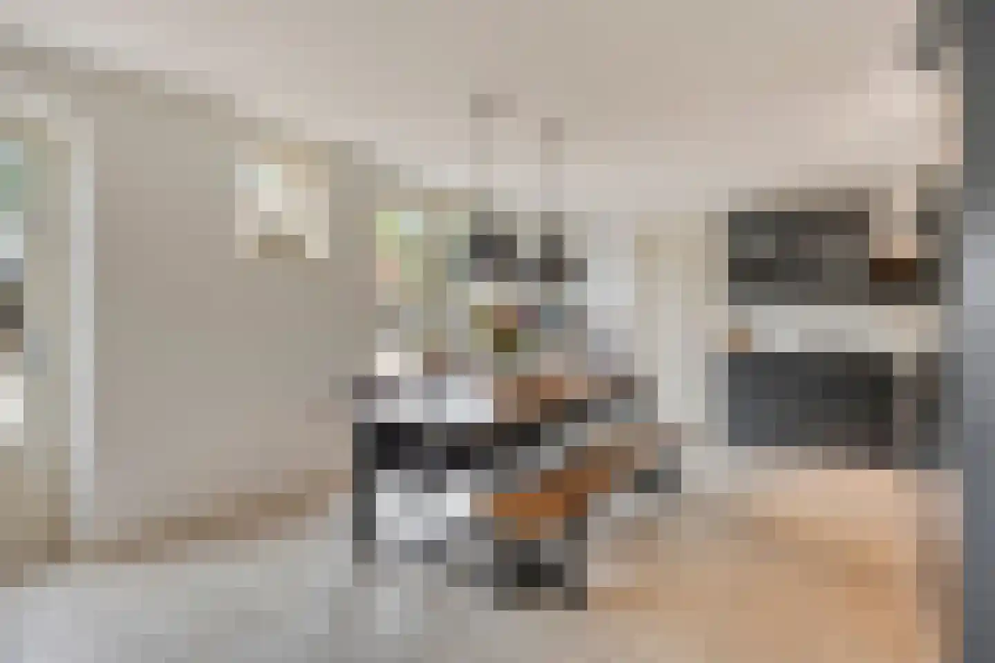 Damweg 98 Zwartebroek thumbnail 6