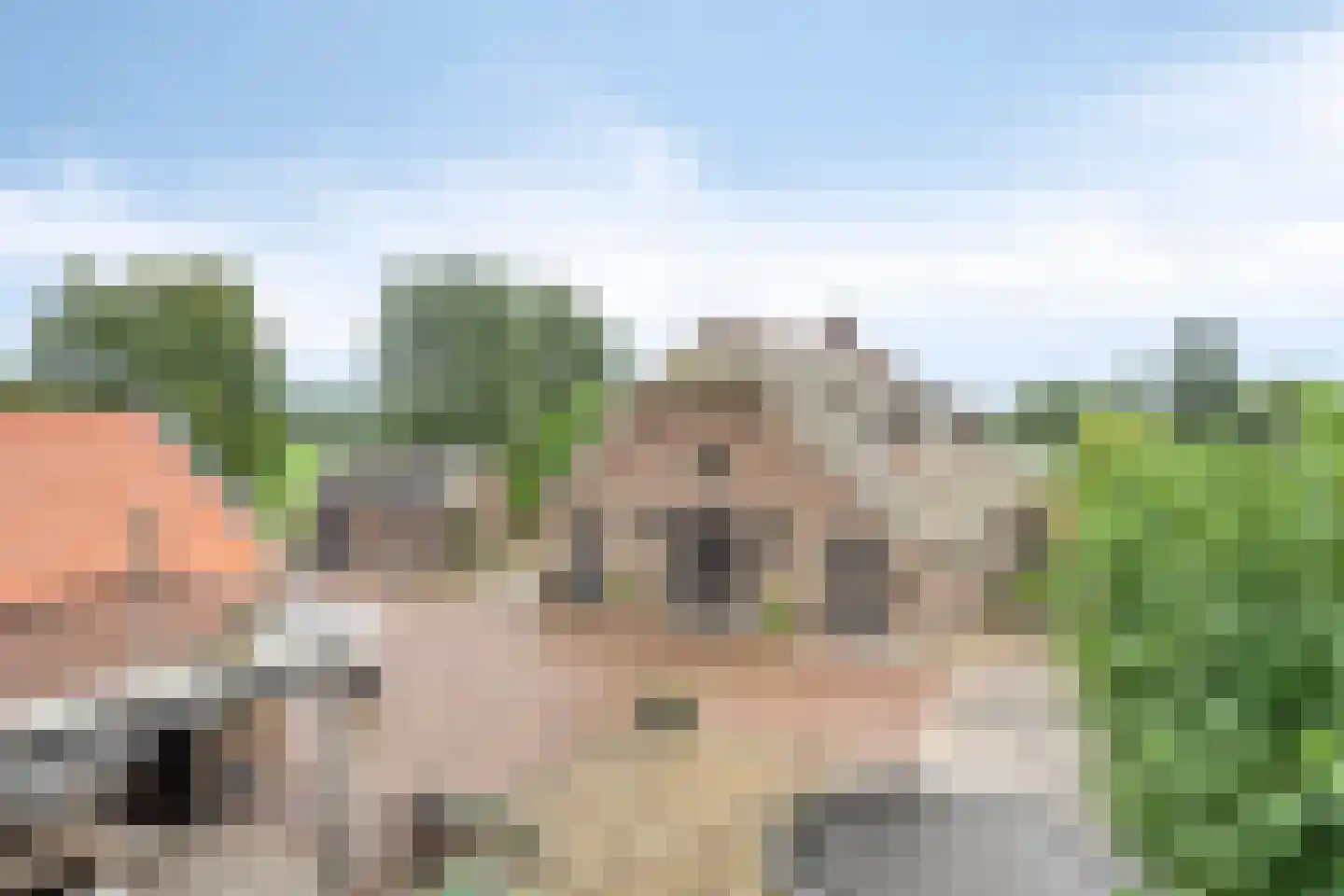 Damweg 98 Zwartebroek thumbnail 66