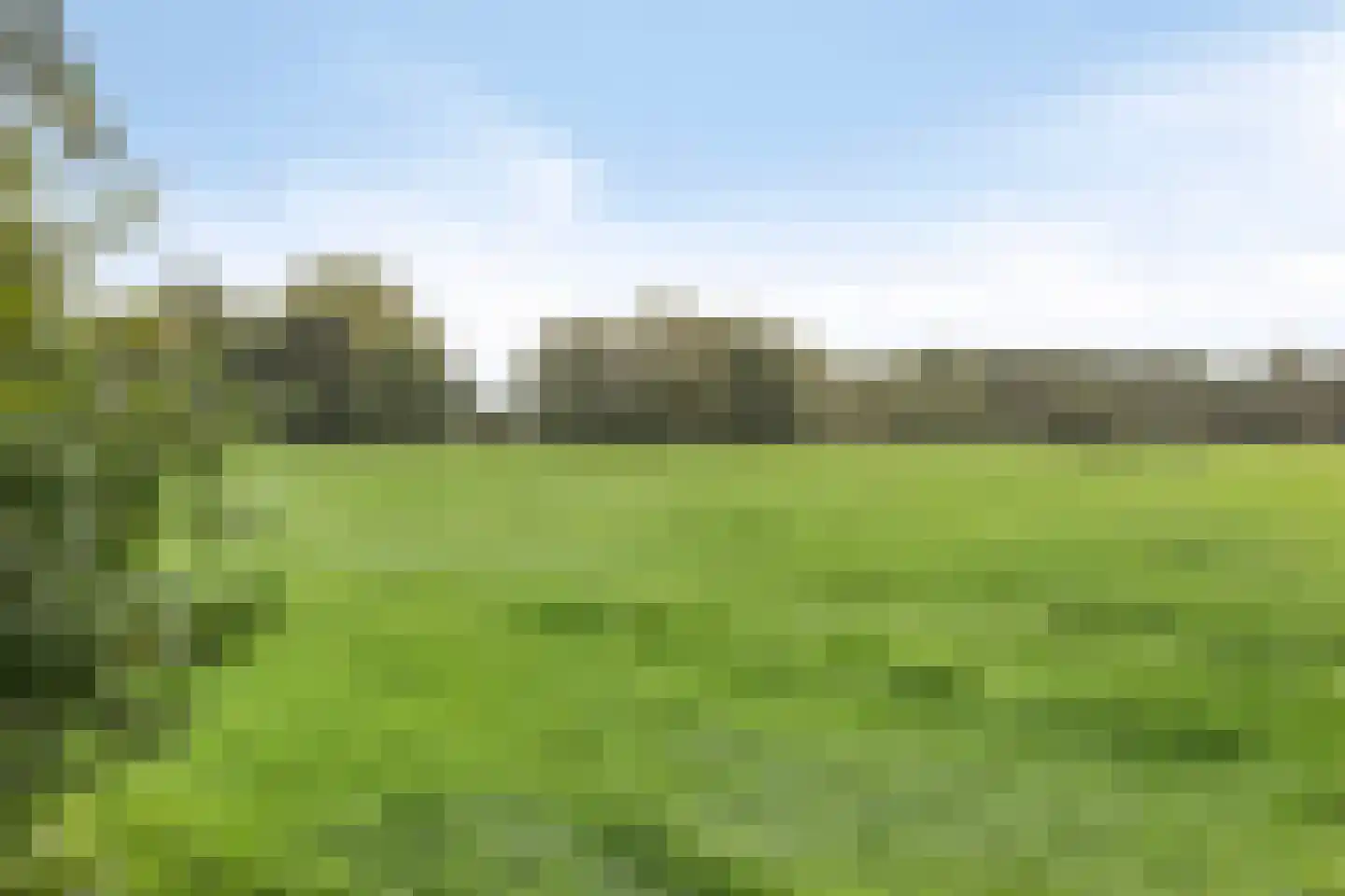 Damweg 98 Zwartebroek thumbnail 67