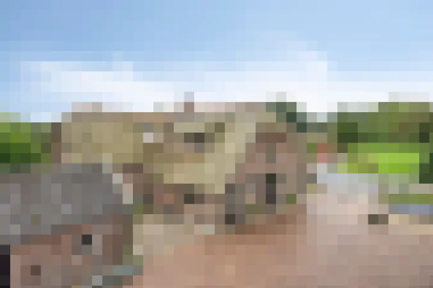 Damweg 98 Zwartebroek thumbnail 68