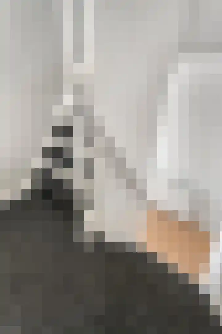 Danackers 29 Emmen thumbnail 11