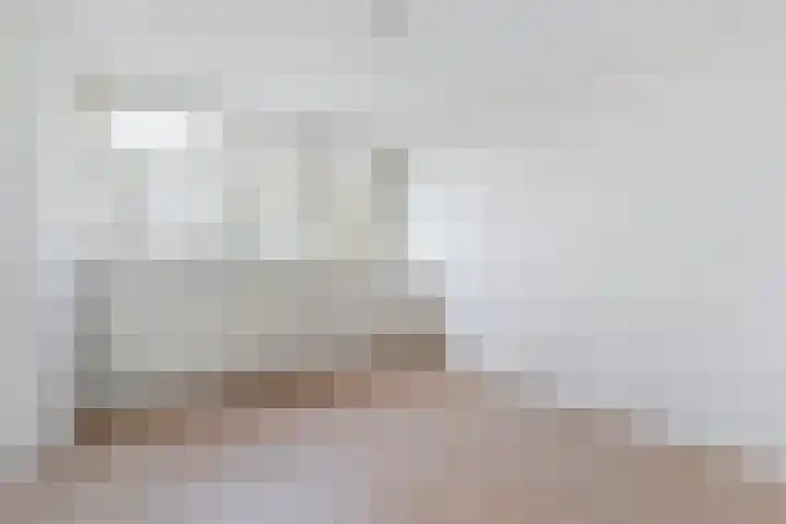 Danackers 29 Emmen thumbnail 13